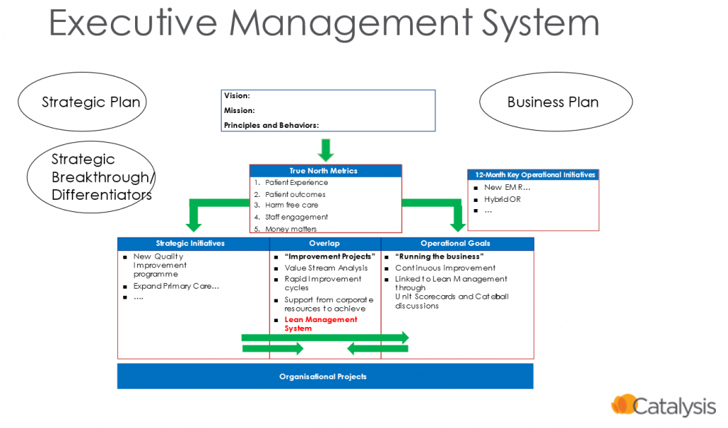 questions-for-examining-your-executive-management-system-catalysis